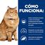 12 sobres x 85 g Hill's Prescription Diet k/d + Mobility j/d Pollo sobre para gatos, , large indicador imagen numero 3